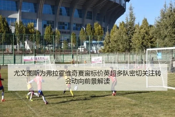 尤文图斯为弗拉霍维奇夏窗标价英超多队密切关注转会动向前景解读 - kaiyun